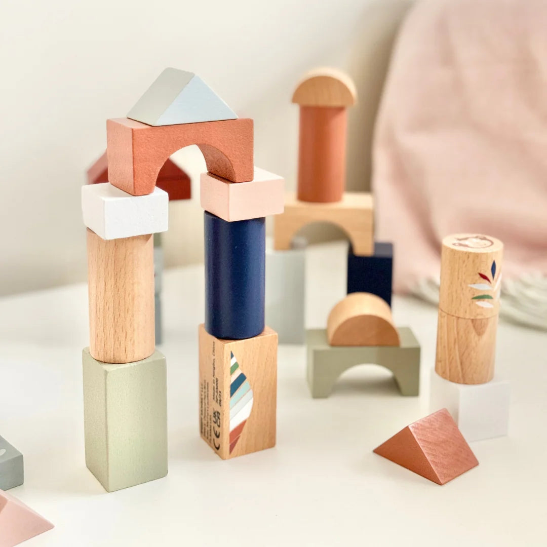 Building Blocks - 50pce