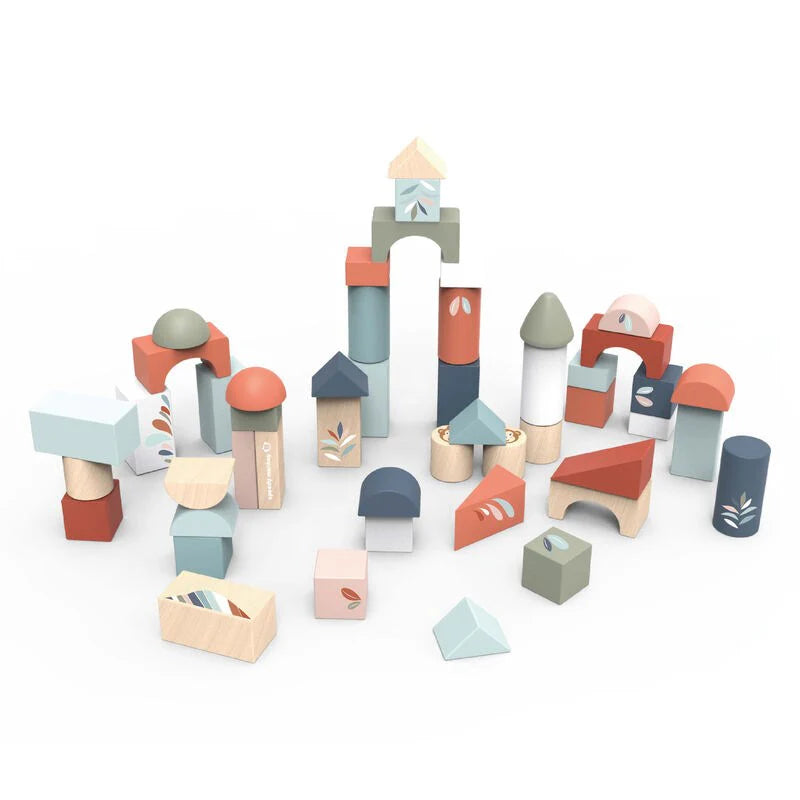 Building Blocks - 50pce