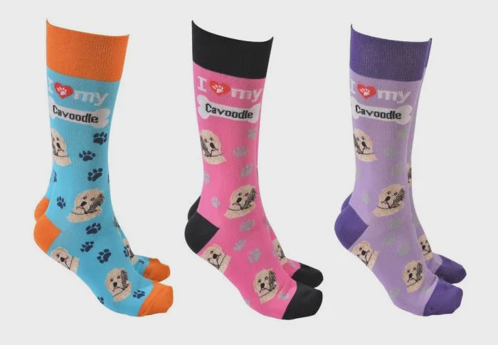 Love My CAVOODLE Socks