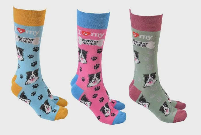 I Love my BORDER COLLIE - Socks