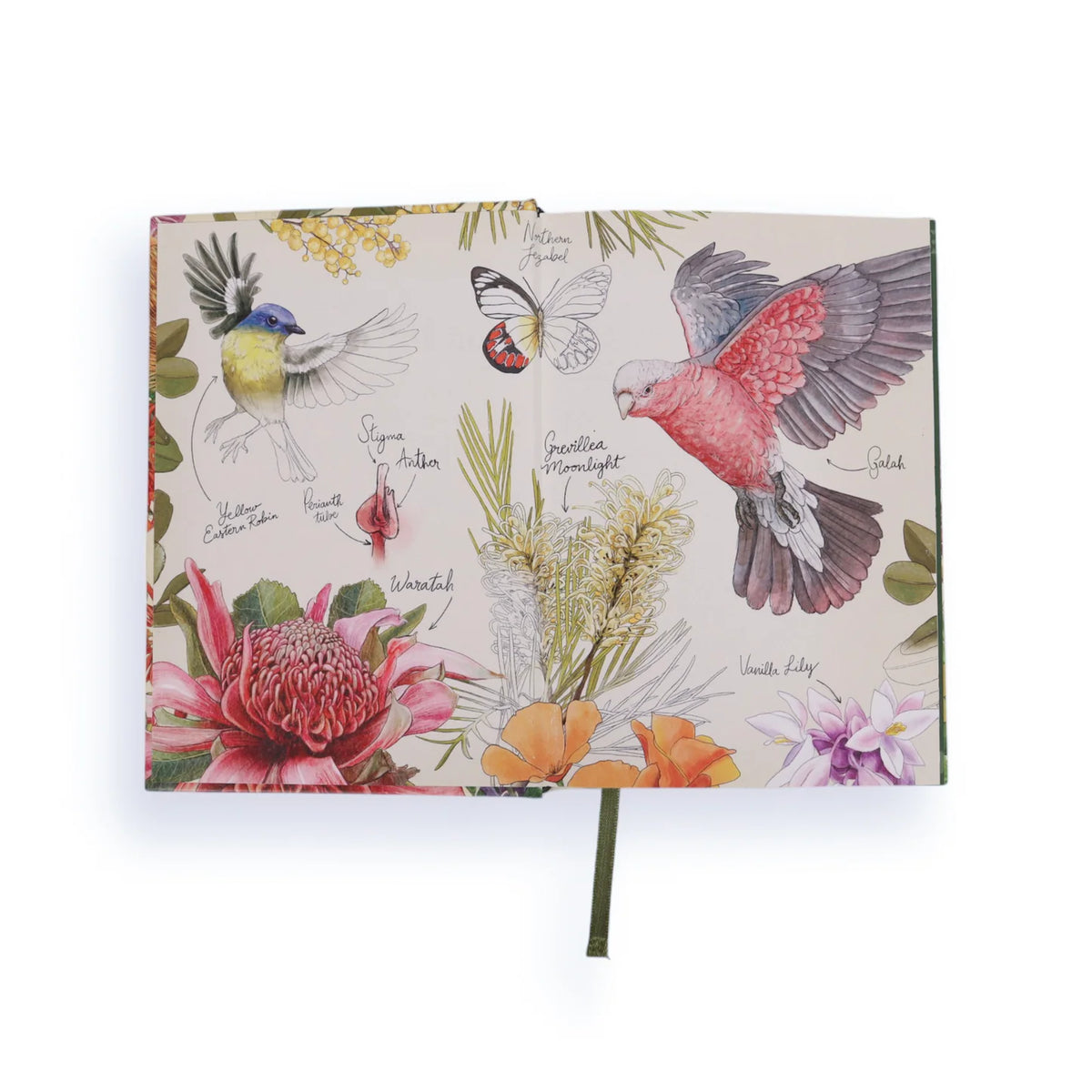 2026 Diary