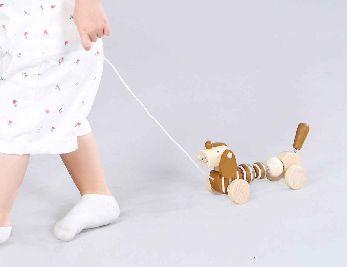 Wooden Pull Along Sausage Dog