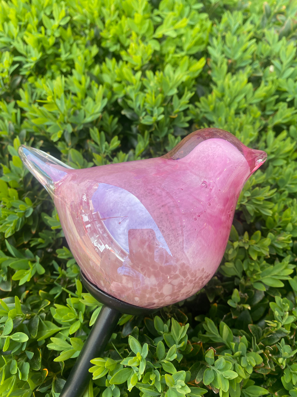 Solar Birds Garden Stake