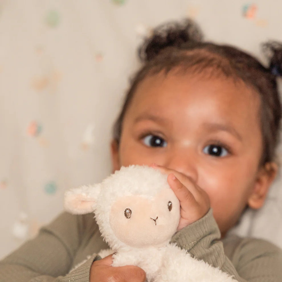 Little Farm - Cuddle Sheep