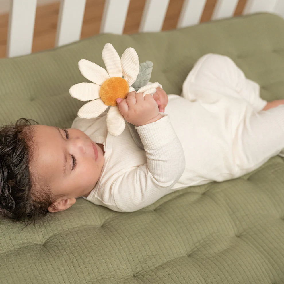 Little Farm - Rattle Flower