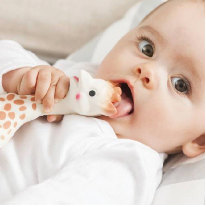 Sophie La Girafe (Sophie The Giraffe)