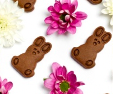 Chocolate Gingerbread Bunny