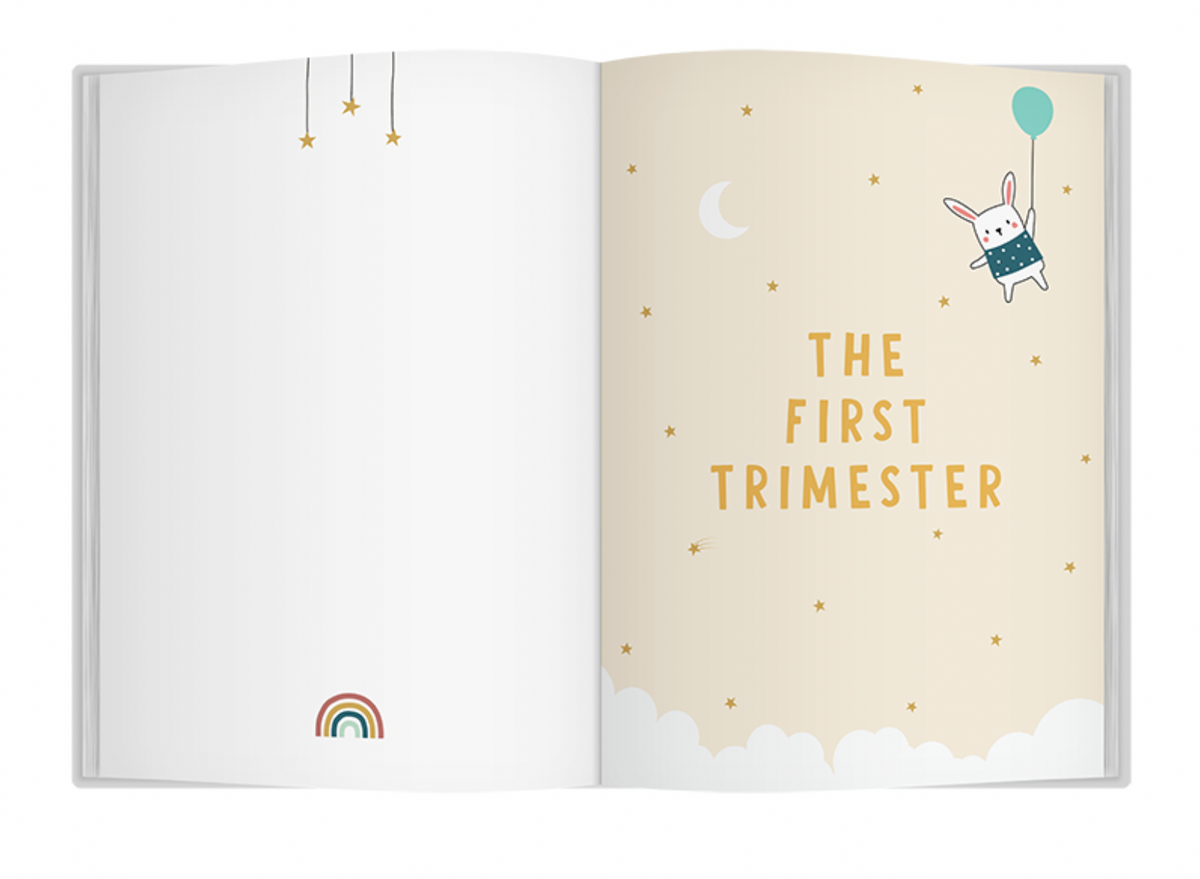 Bump to Birthday - Cloth Edition
