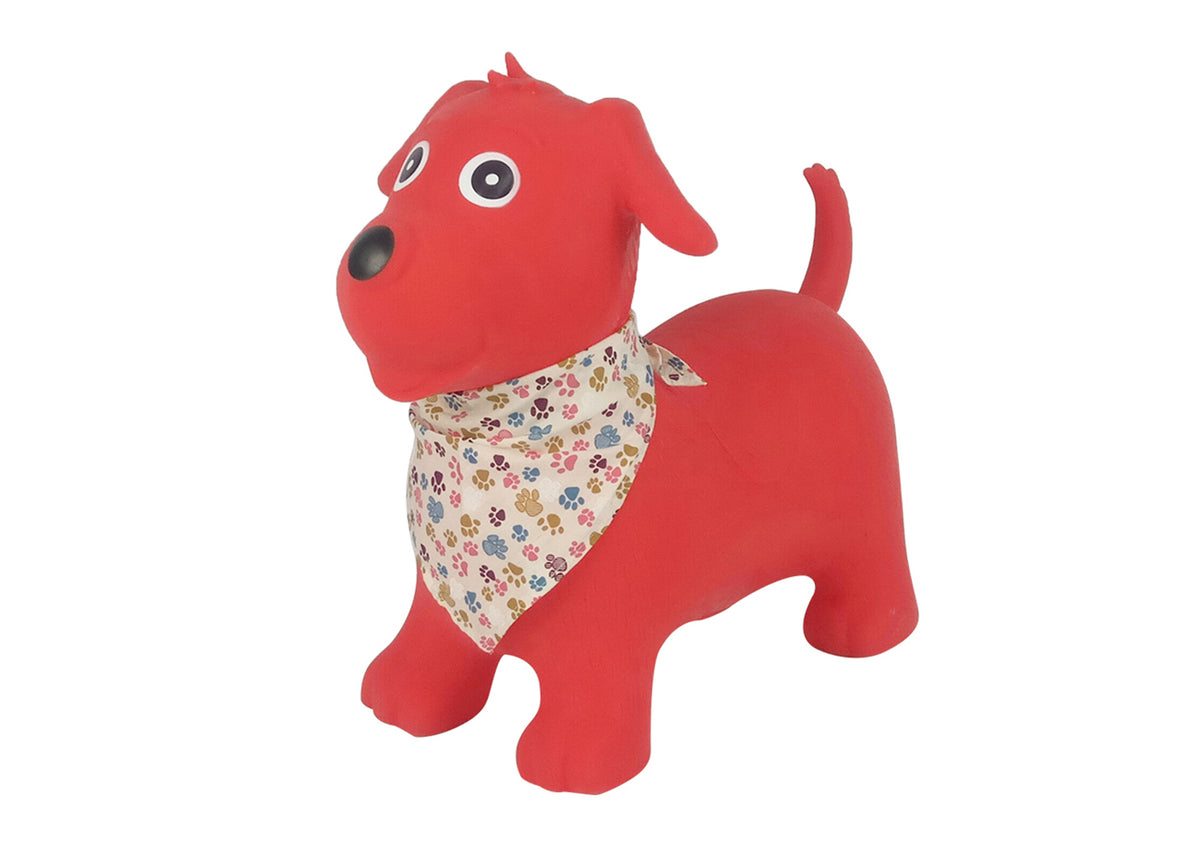Bouncy Rider
