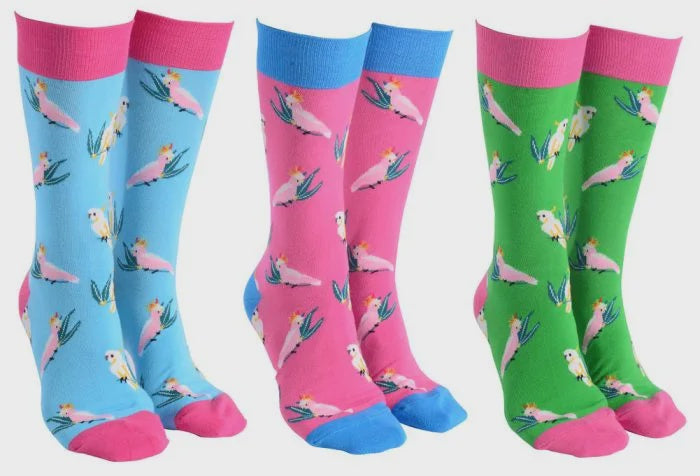 SOCK SOCIETY - Aussie Birds