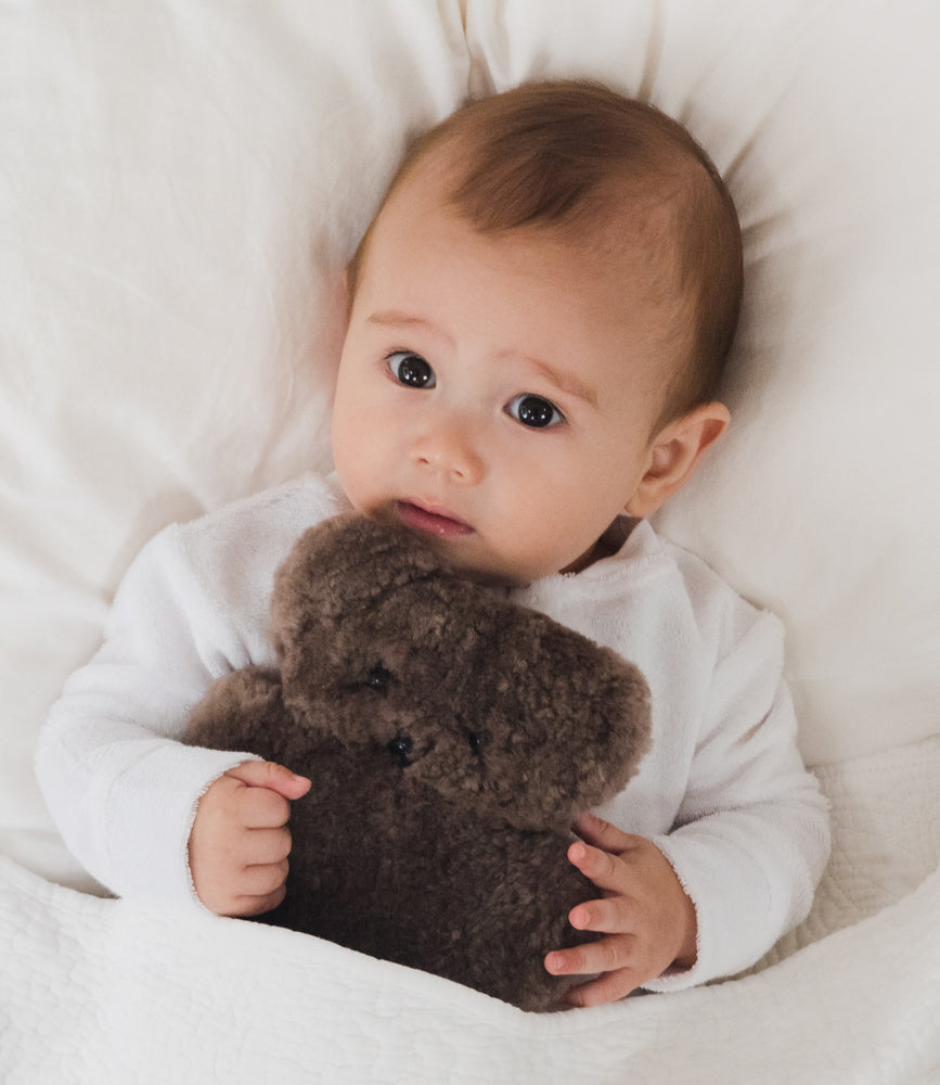 Baby Flat Bear  - Chocolate
