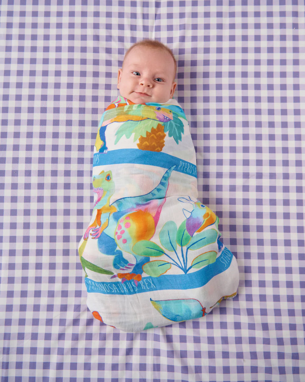 Dino Safari Bamboo Swaddle One Size