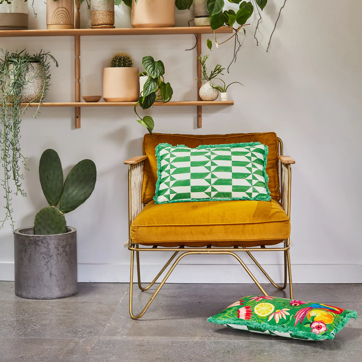 Cushion - Life in Colour