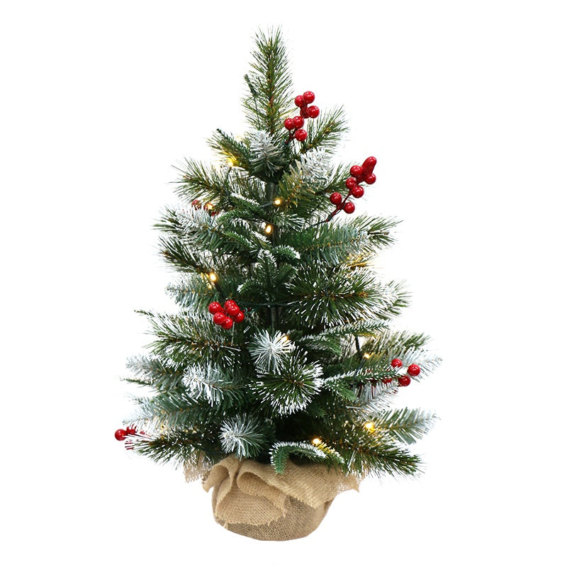 Berry &amp; Snow LED Tree In Burlap Pot