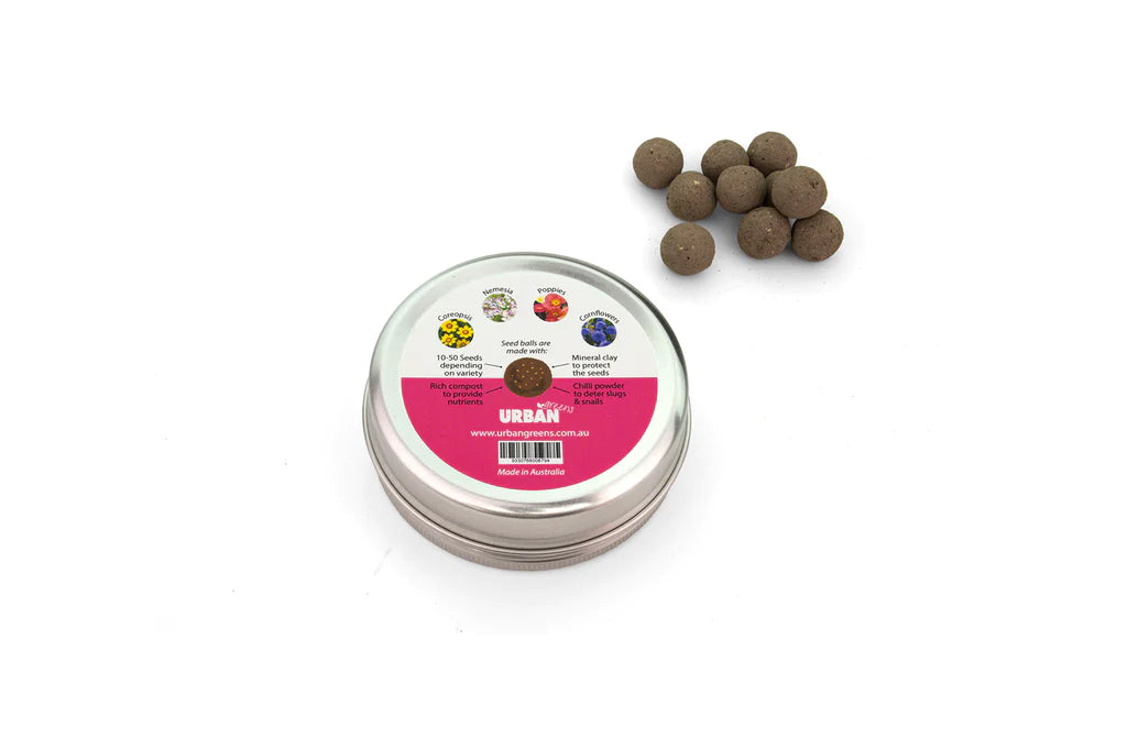 Cottage Garden Flowers - Seed Balls