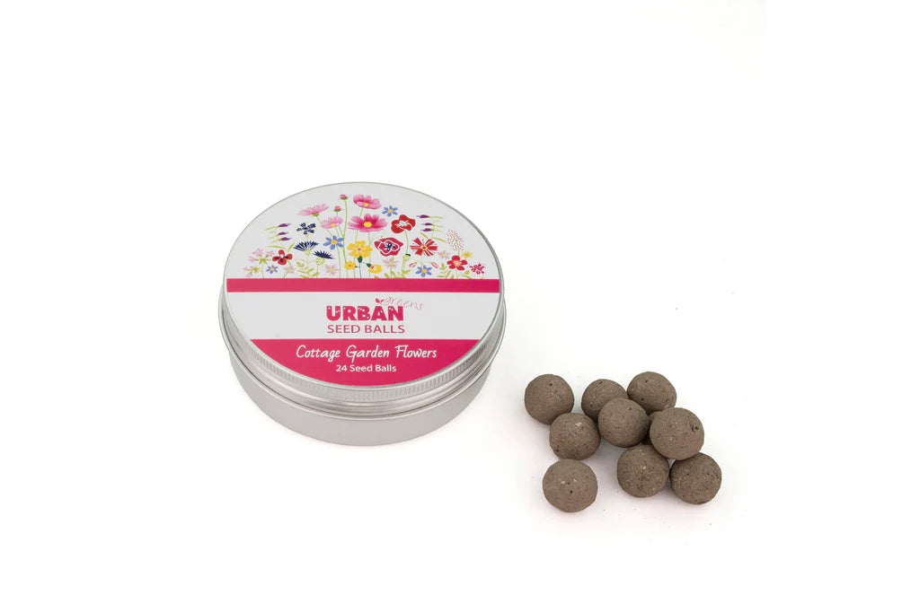 Cottage Garden Flowers - Seed Balls
