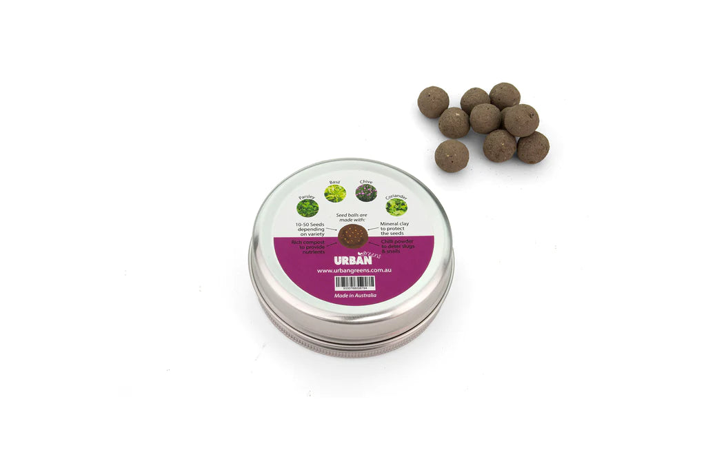Kitchen Herbs - Seed Balls