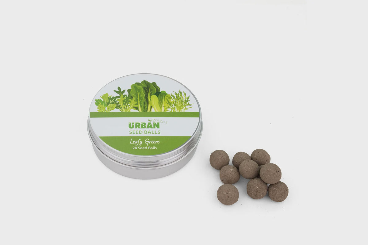 Leafy Greens - Seed Balls