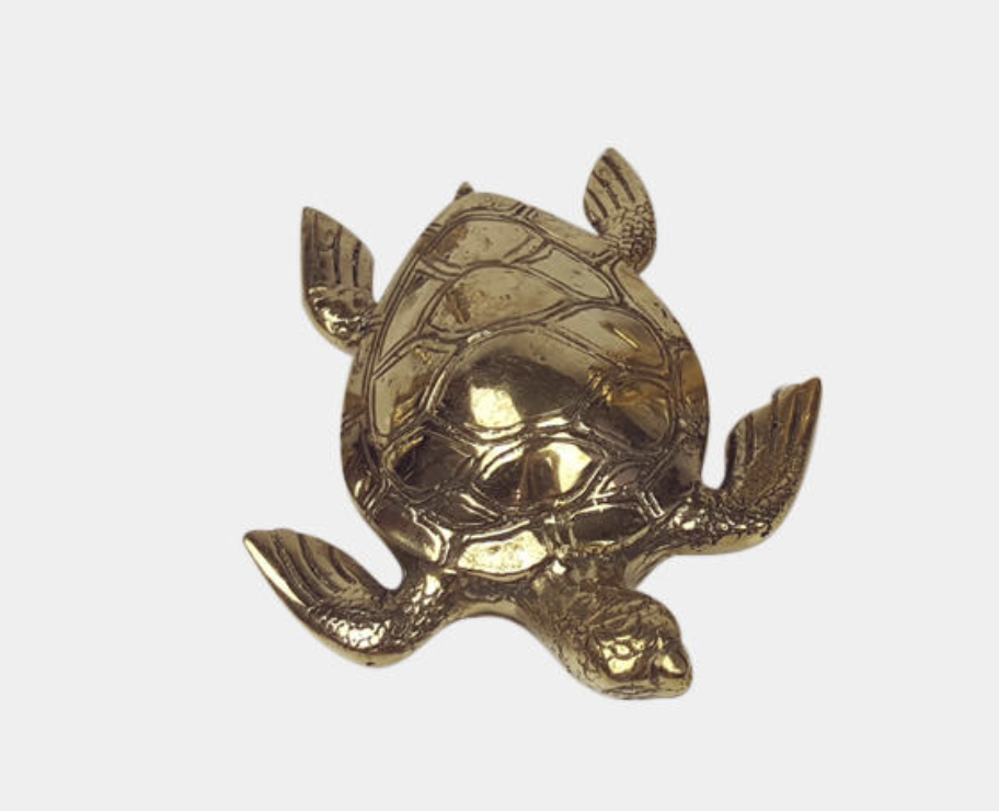 Turtle Gold - Medium