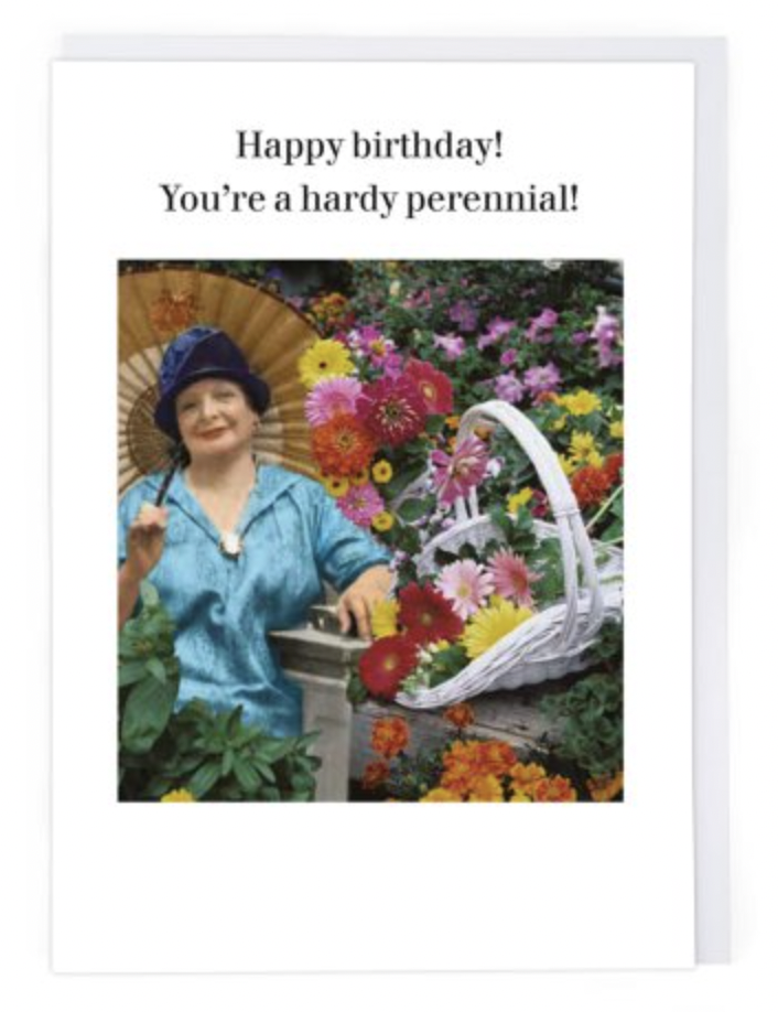 Hardy Perennial - Greeting Card