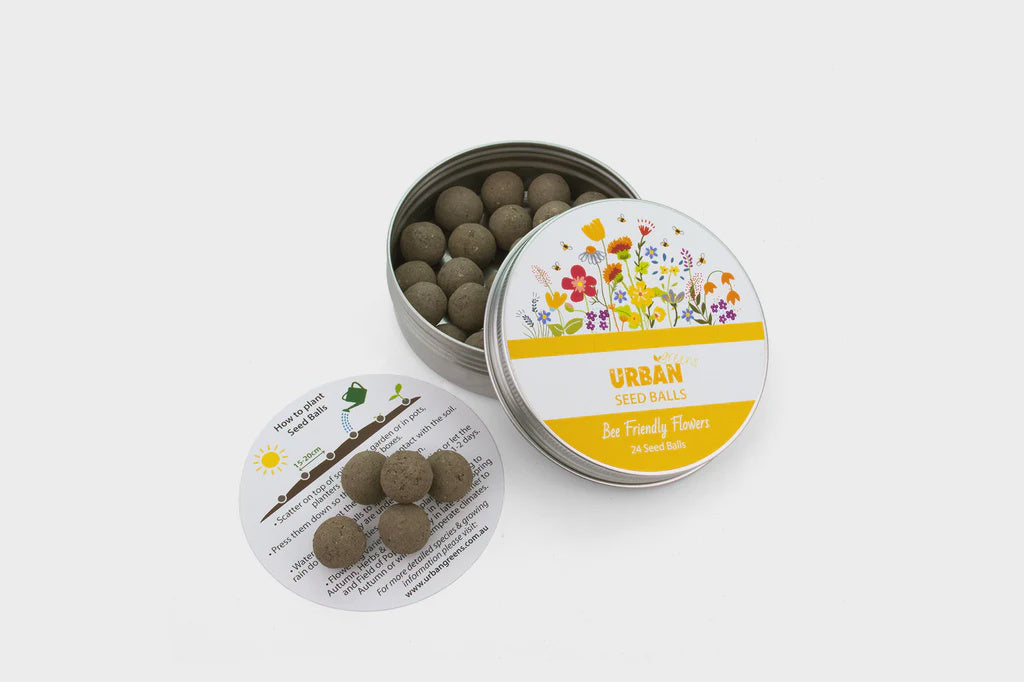 Bee Friendly Flowers - Seed Balls