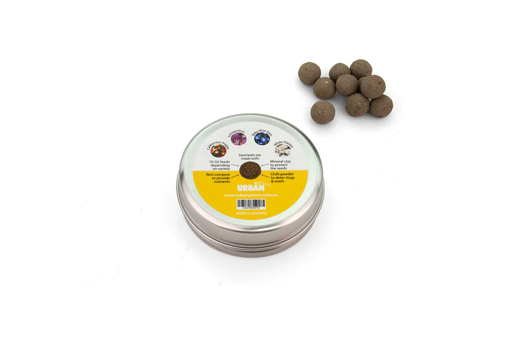 Bee Friendly Flowers - Seed Balls