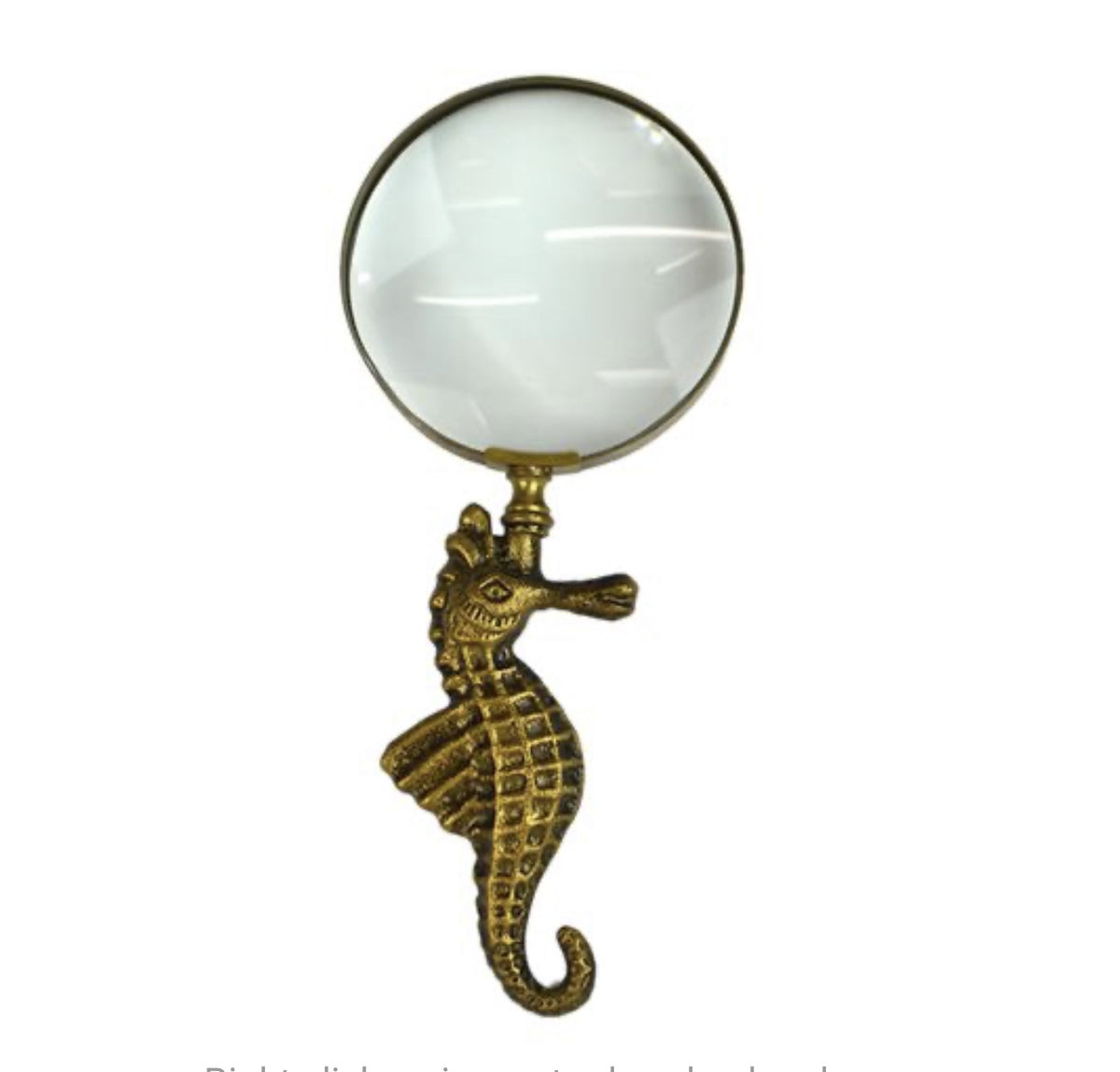 Seth Seahorse Met Magnifine Glass